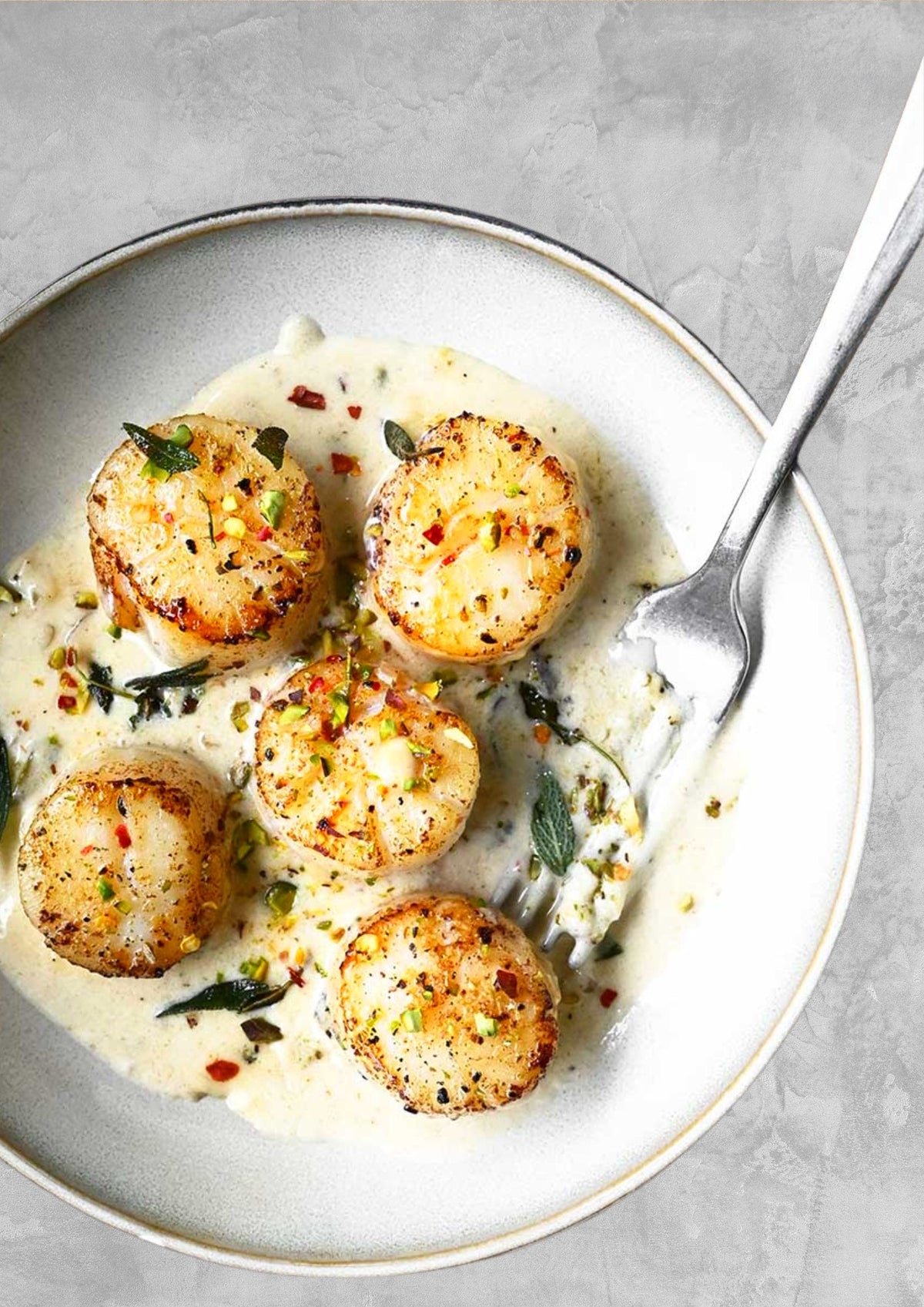 MEDITERRANEAN SURF + SEA WORKSHOP